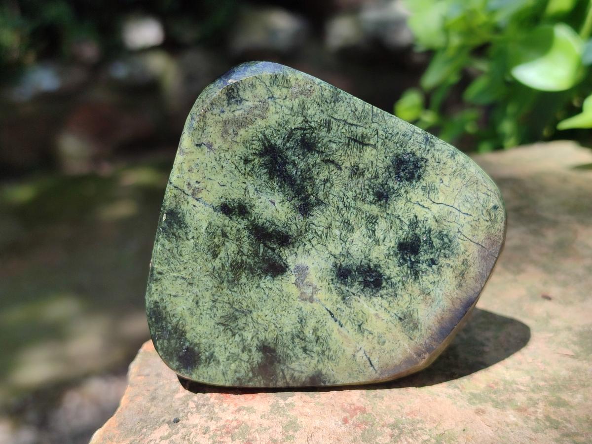 Polished Leopard Stone Free Forms x 12 From Zimbabwe - Toprock Gemstones and Minerals 