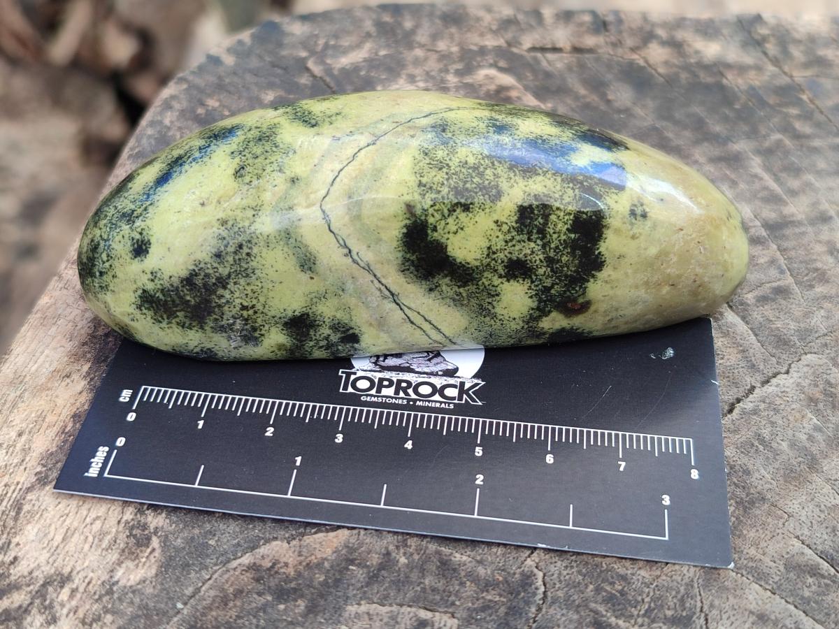 Polished Leopard Stone Free Forms x 12 From Zimbabwe - Toprock Gemstones and Minerals 
