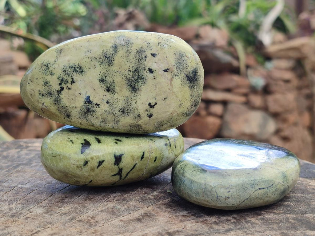 Polished Leopard Stone Free Forms x 12 From Zimbabwe - Toprock Gemstones and Minerals 