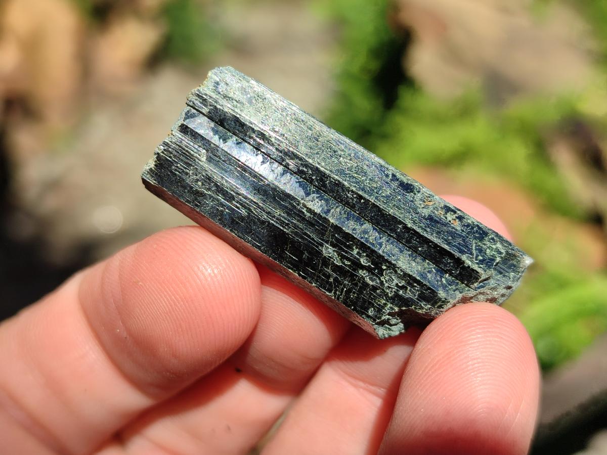 Natural Aegirine Single Crystals x 70 From Zomba, Malawi - Toprock Gemstones and Minerals 