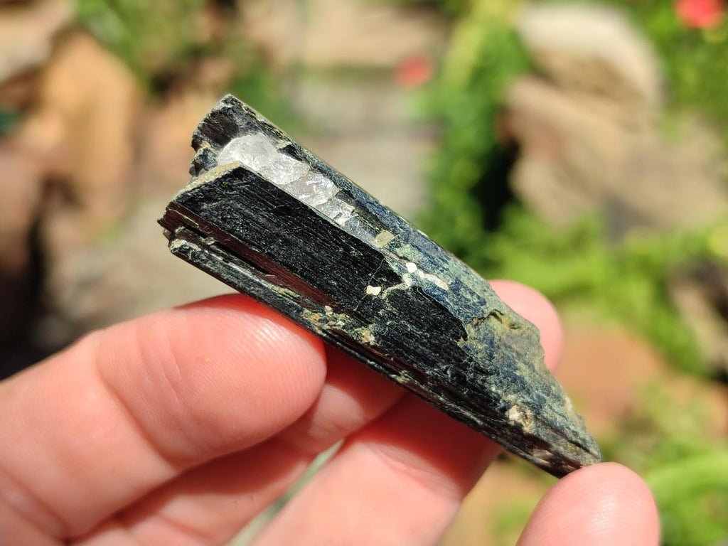 Natural Aegirine Single Crystals x 70 From Zomba, Malawi - Toprock Gemstones and Minerals 