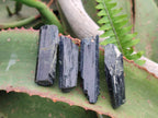 Natural Aegirine Single Crystals x 70 From Zomba, Malawi - Toprock Gemstones and Minerals 