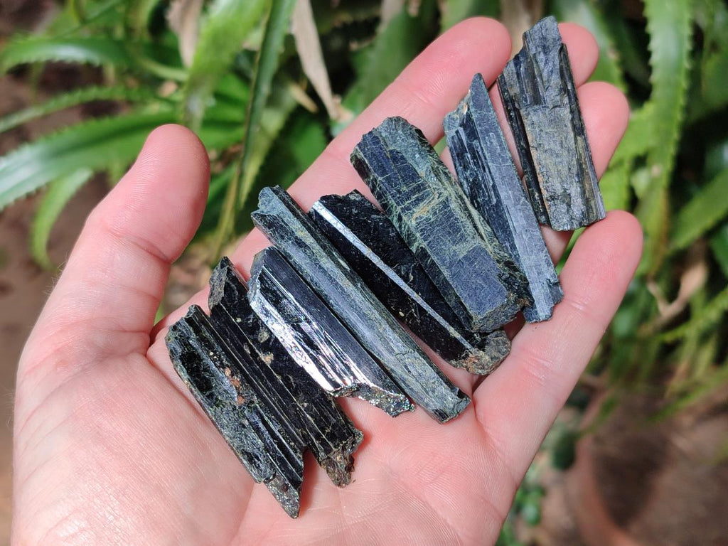 Natural Aegirine Single Crystals x 70 From Zomba, Malawi - Toprock Gemstones and Minerals 