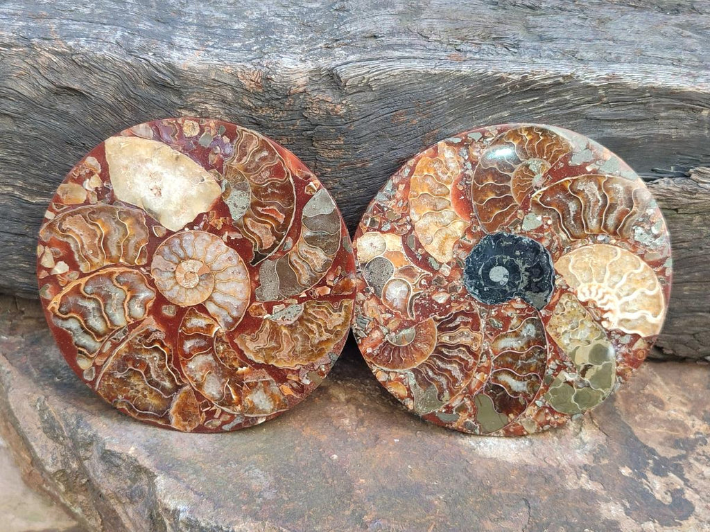 Hand Made Ammonite Conglomerate Coffee Table Coasters x 6 From Mahajanga, Madagascar - Toprock Gemstones and Minerals 