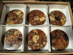 Hand Made Ammonite Conglomerate Coffee Table Coasters x 6 From Mahajanga, Madagascar - Toprock Gemstones and Minerals 