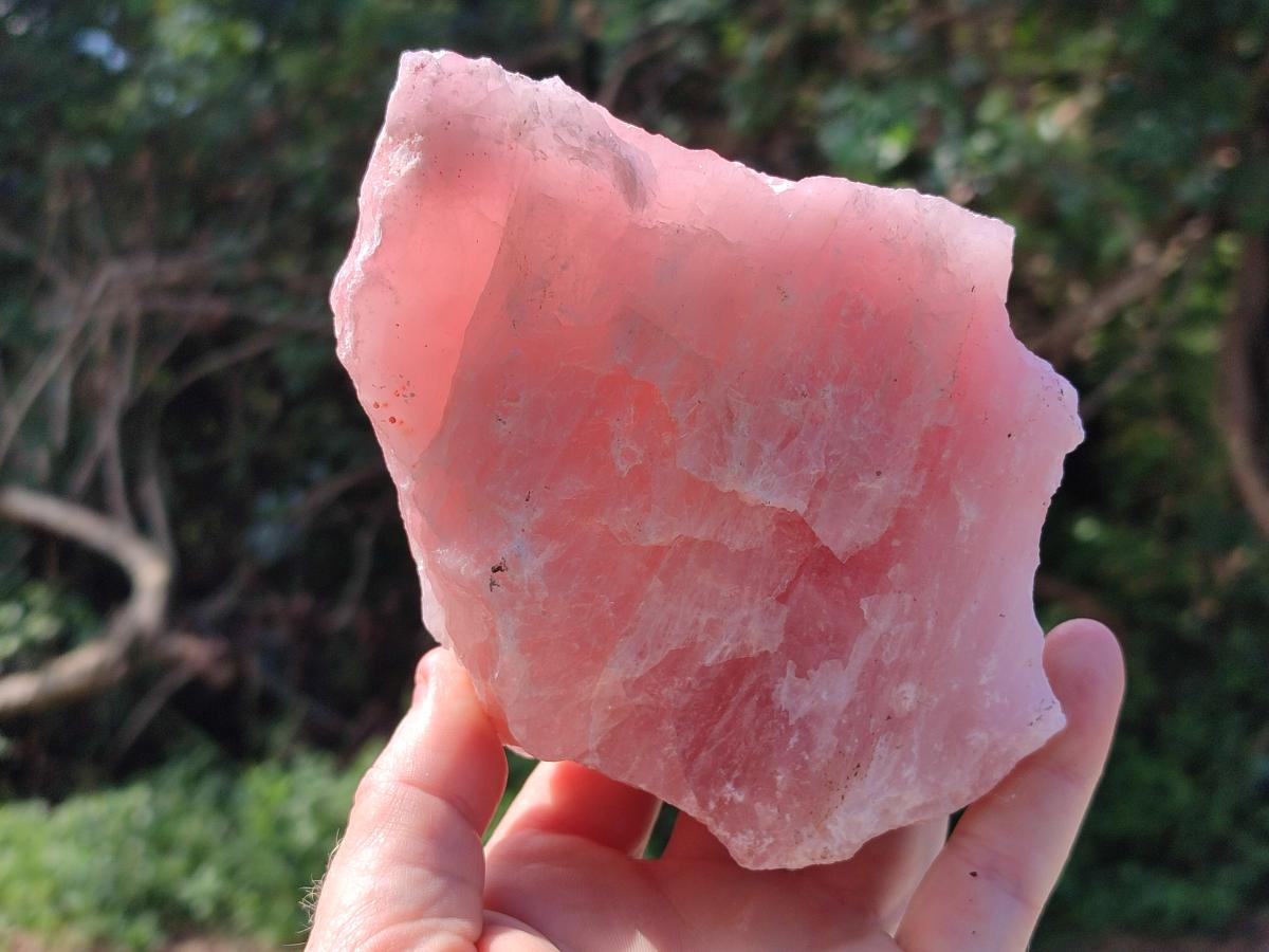 Natural Cobbed Rose Quartz Specimens x 11 From Northern Cape, South Africa - Toprock Gemstones and Minerals 