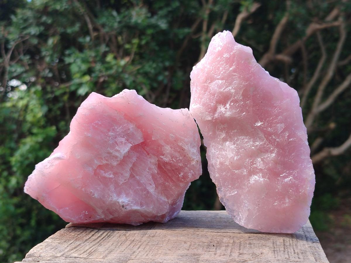 Natural Cobbed Rose Quartz Specimens x 11 From Northern Cape, South Africa - Toprock Gemstones and Minerals 