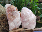 Natural Cobbed Rose Quartz Specimens x 11 From Northern Cape, South Africa - Toprock Gemstones and Minerals 