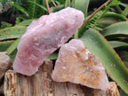 Natural Cobbed Rose Quartz Specimens x 11 From Northern Cape, South Africa - Toprock Gemstones and Minerals 