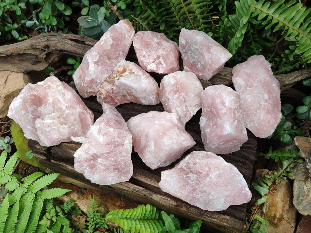 Natural Cobbed Rose Quartz Specimens x 11 From Northern Cape, South Africa - Toprock Gemstones and Minerals 