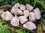 Natural Cobbed Rose Quartz Specimens x 11 From Northern Cape, South Africa - Toprock Gemstones and Minerals 