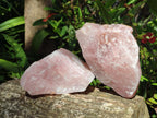 Natural Cobbed Rose Quartz Specimens x 11 From Northern Cape, South Africa - Toprock Gemstones and Minerals 