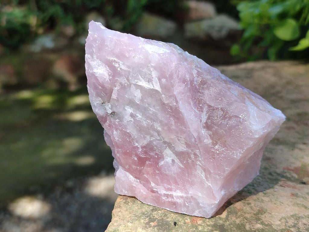 Natural Cobbed Rose Quartz Specimens x 11 From Northern Cape, South Africa - Toprock Gemstones and Minerals 