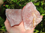 Natural Cobbed Rose Quartz Specimens x 11 From Northern Cape, South Africa - Toprock Gemstones and Minerals 