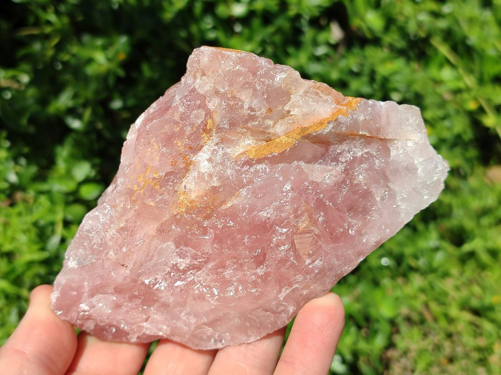 Natural Cobbed Rose Quartz Specimens x 11 From Northern Cape, South Africa - Toprock Gemstones and Minerals 