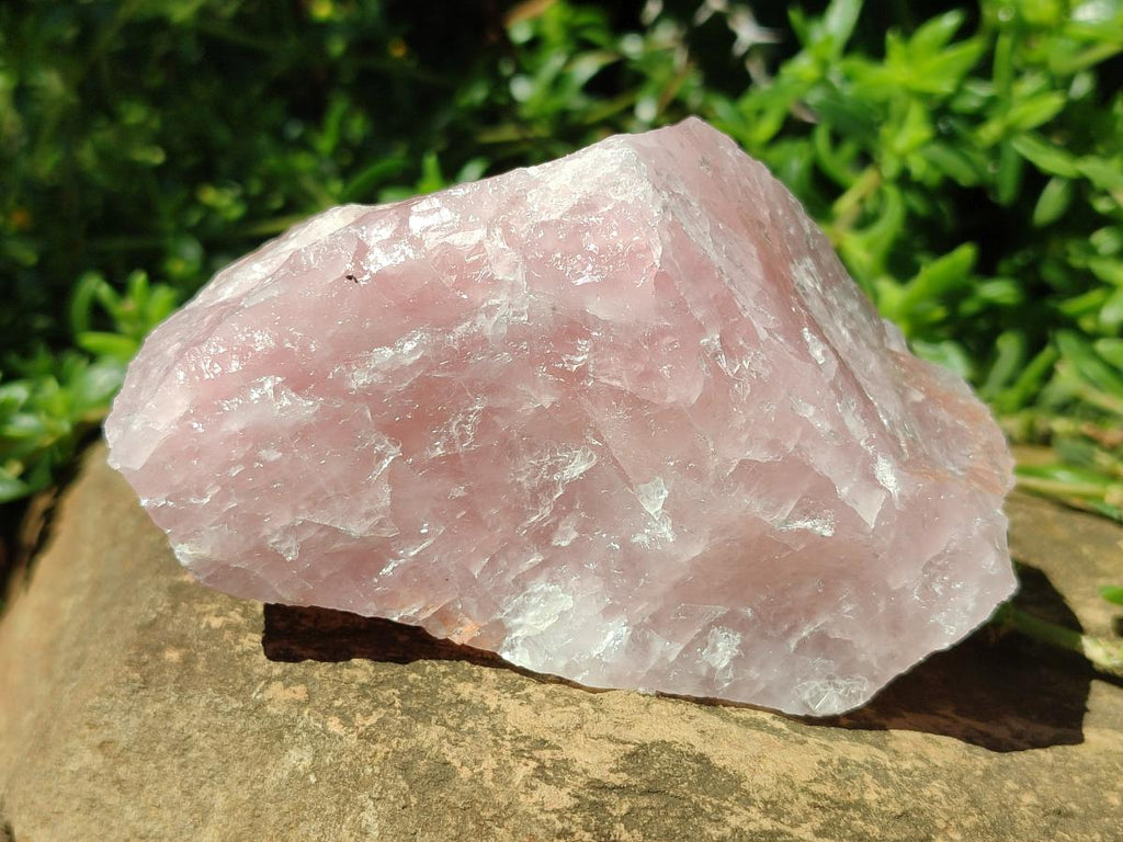 Natural Cobbed Rose Quartz Specimens x 11 From Northern Cape, South Africa - Toprock Gemstones and Minerals 