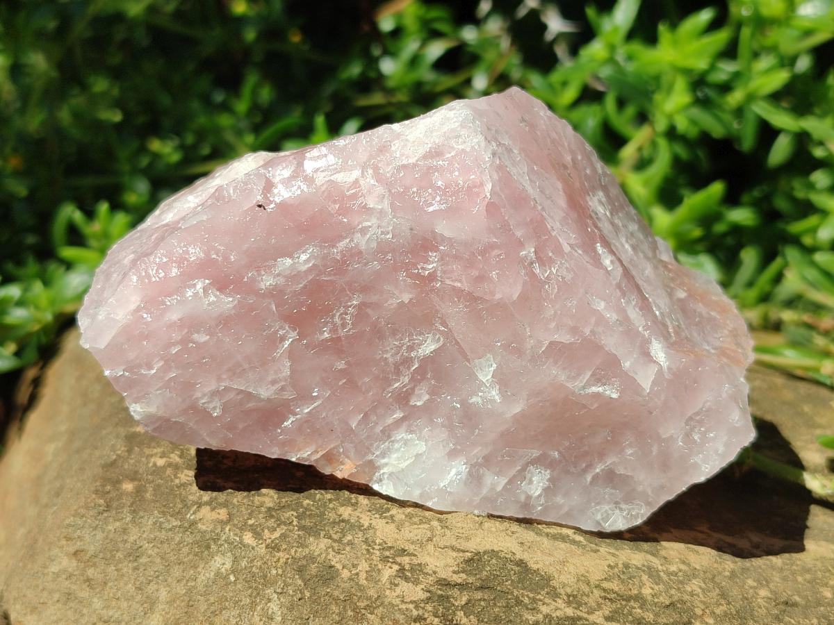 Natural Cobbed Rose Quartz Specimens x 11 From Northern Cape, South Africa - Toprock Gemstones and Minerals 