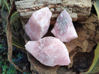 Natural Cobbed Rose Quartz Specimens x 11 From Northern Cape, South Africa - Toprock Gemstones and Minerals 