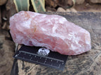 Natural Cobbed Rose Quartz Specimens x 11 From Northern Cape, South Africa - Toprock Gemstones and Minerals 