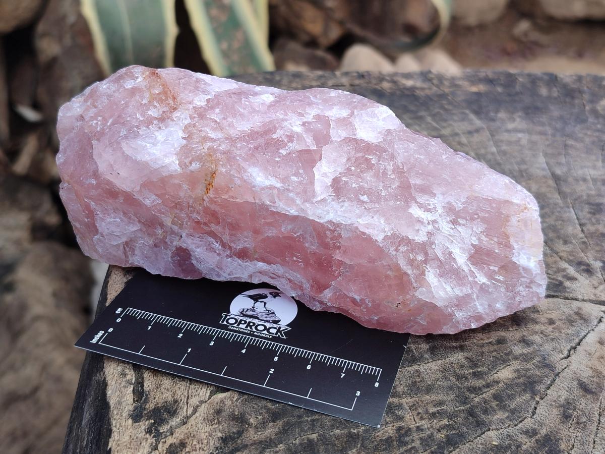 Natural Cobbed Rose Quartz Specimens x 11 From Northern Cape, South Africa - Toprock Gemstones and Minerals 