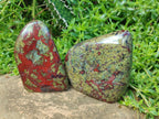 Polished Bastite Dragonsblood Stone Standing Display Pieces x 2 From Tshipise, South Africa - Toprock Gemstones and Minerals 