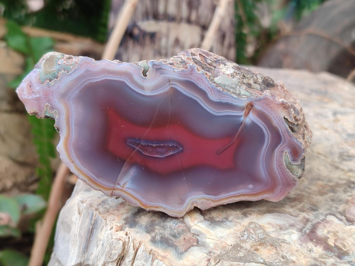 Polished One Side Red Shashe River Agate Nodules x 6 From Shashe River, Zimbabwe