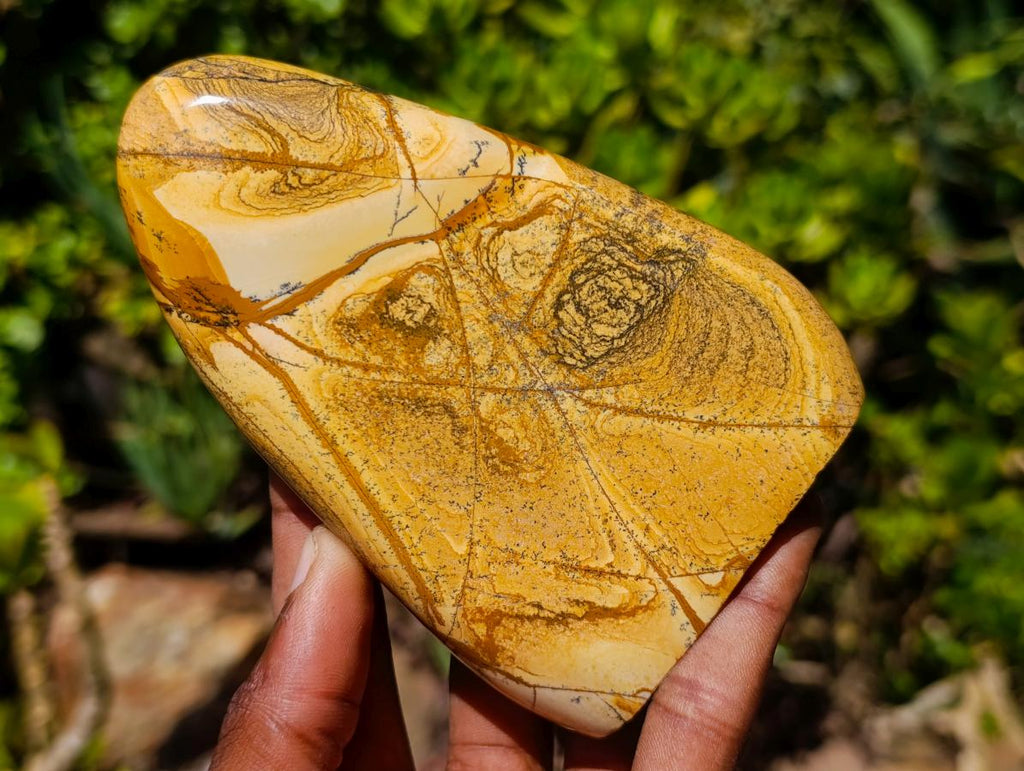 Polished Picture Stone Jasper Standing Display Pieces x 3 From Ais-Ais, Namibia - Toprock Gemstones and Minerals 