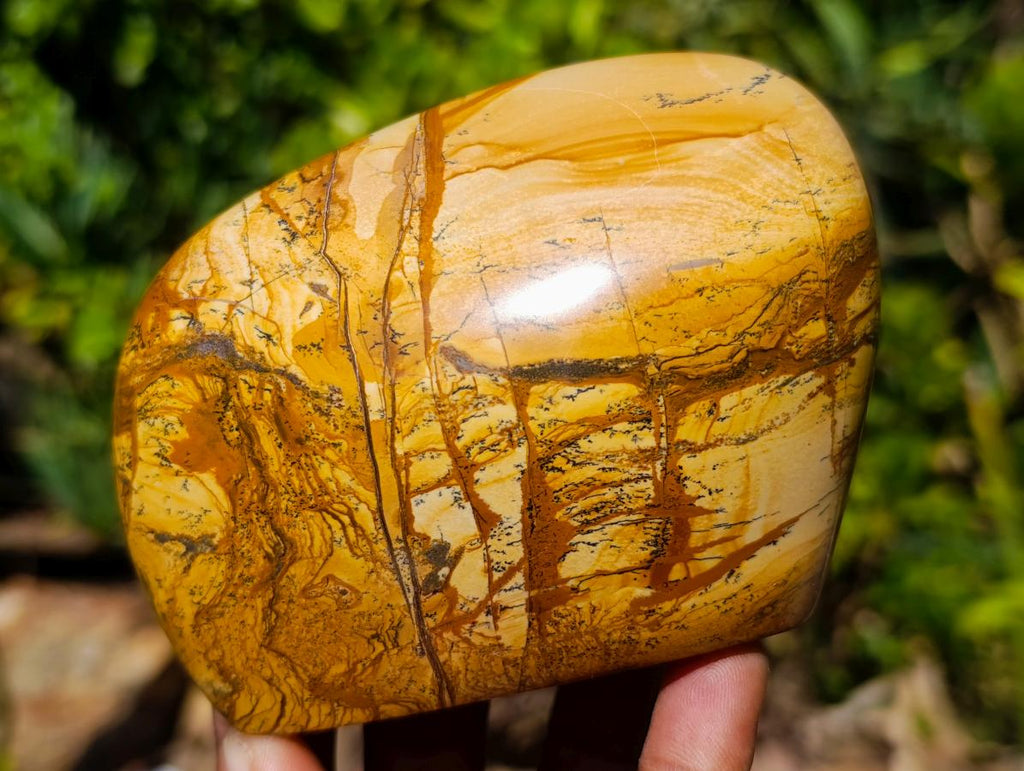 Polished Picture Stone Jasper Standing Display Pieces x 3 From Ais-Ais, Namibia - Toprock Gemstones and Minerals 