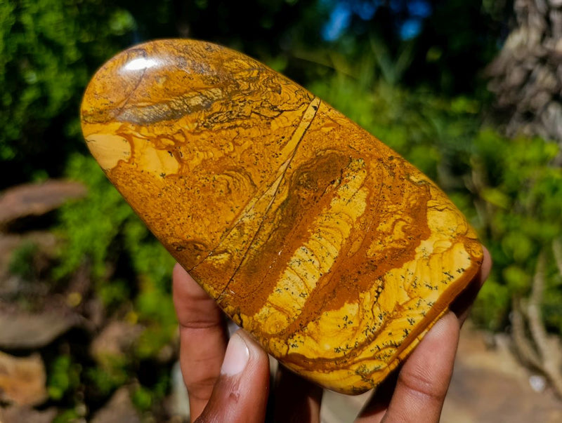 Polished Picture Stone Jasper Standing Display Pieces x 3 From Ais-Ais, Namibia - Toprock Gemstones and Minerals 