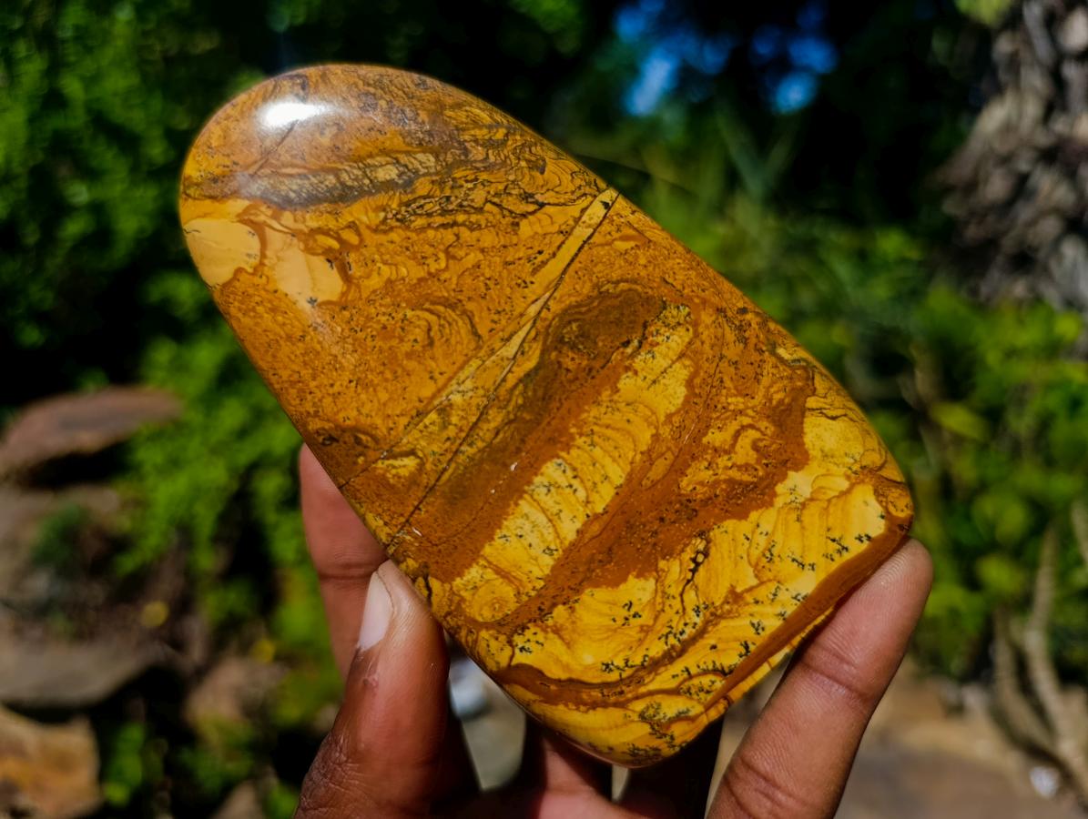 Polished Picture Stone Jasper Standing Display Pieces x 3 From Ais-Ais, Namibia - Toprock Gemstones and Minerals 
