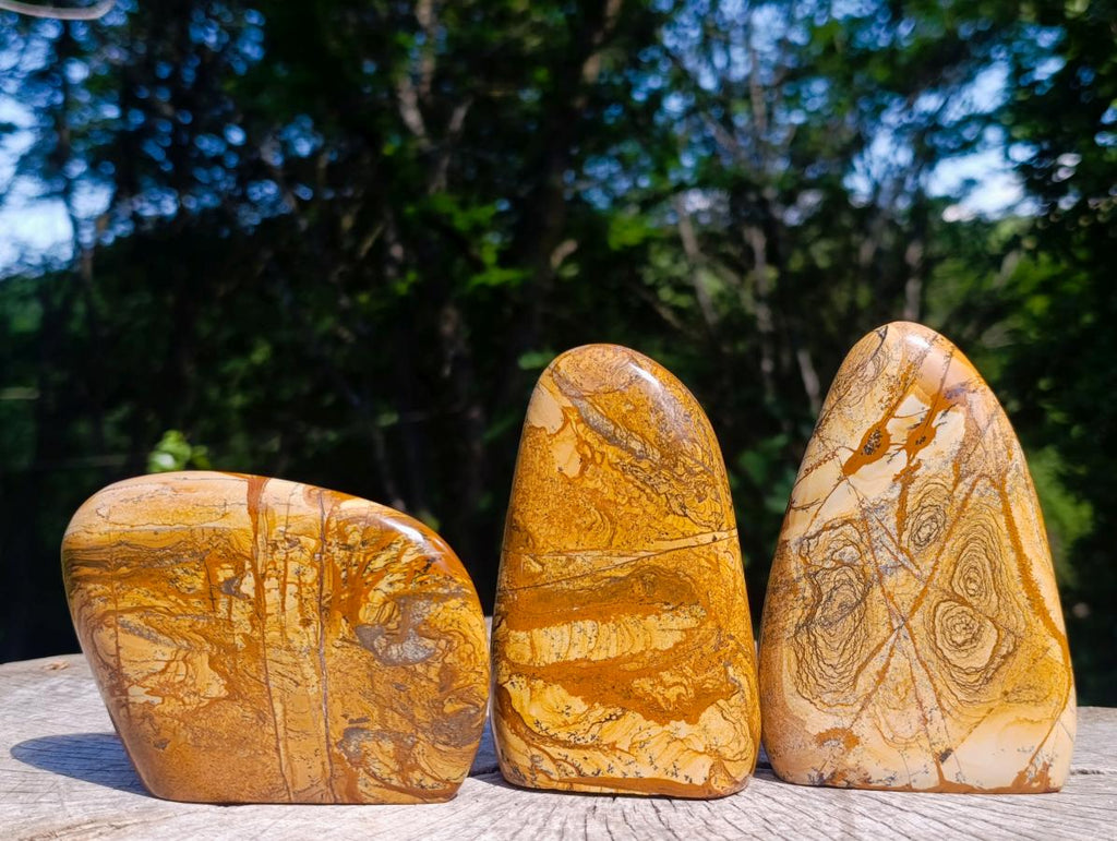 Polished Picture Stone Jasper Standing Display Pieces x 3 From Ais-Ais, Namibia - Toprock Gemstones and Minerals 