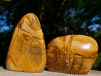Polished Picture Stone Jasper Standing Display Pieces x 3 From Ais-Ais, Namibia - Toprock Gemstones and Minerals 