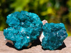 Natural Dioptase Specimens on Dolomite Matrix x 20 From Tantara Mine, Congo - Toprock Gemstones and Minerals 