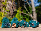 Natural Dioptase Specimens on Dolomite Matrix x 20 From Tantara Mine, Congo - Toprock Gemstones and Minerals 