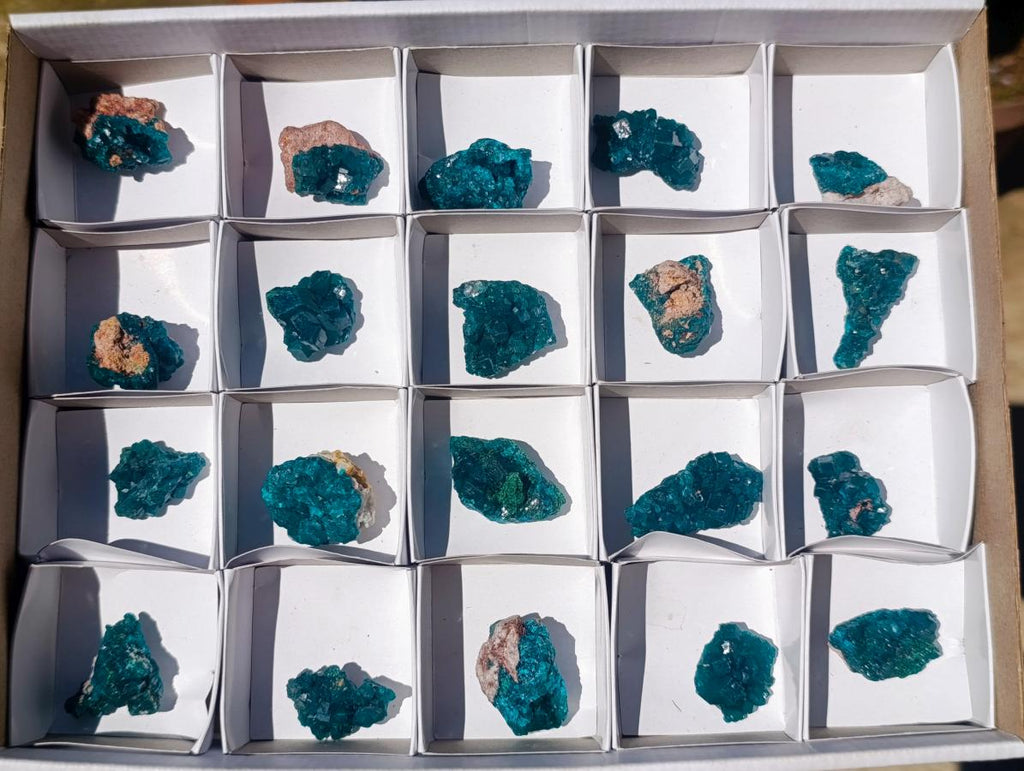 Natural Dioptase Specimens on Dolomite Matrix x 20 From Tantara Mine, Congo - Toprock Gemstones and Minerals 