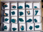 Natural Dioptase Specimens on Dolomite Matrix x 20 From Tantara Mine, Congo - Toprock Gemstones and Minerals 