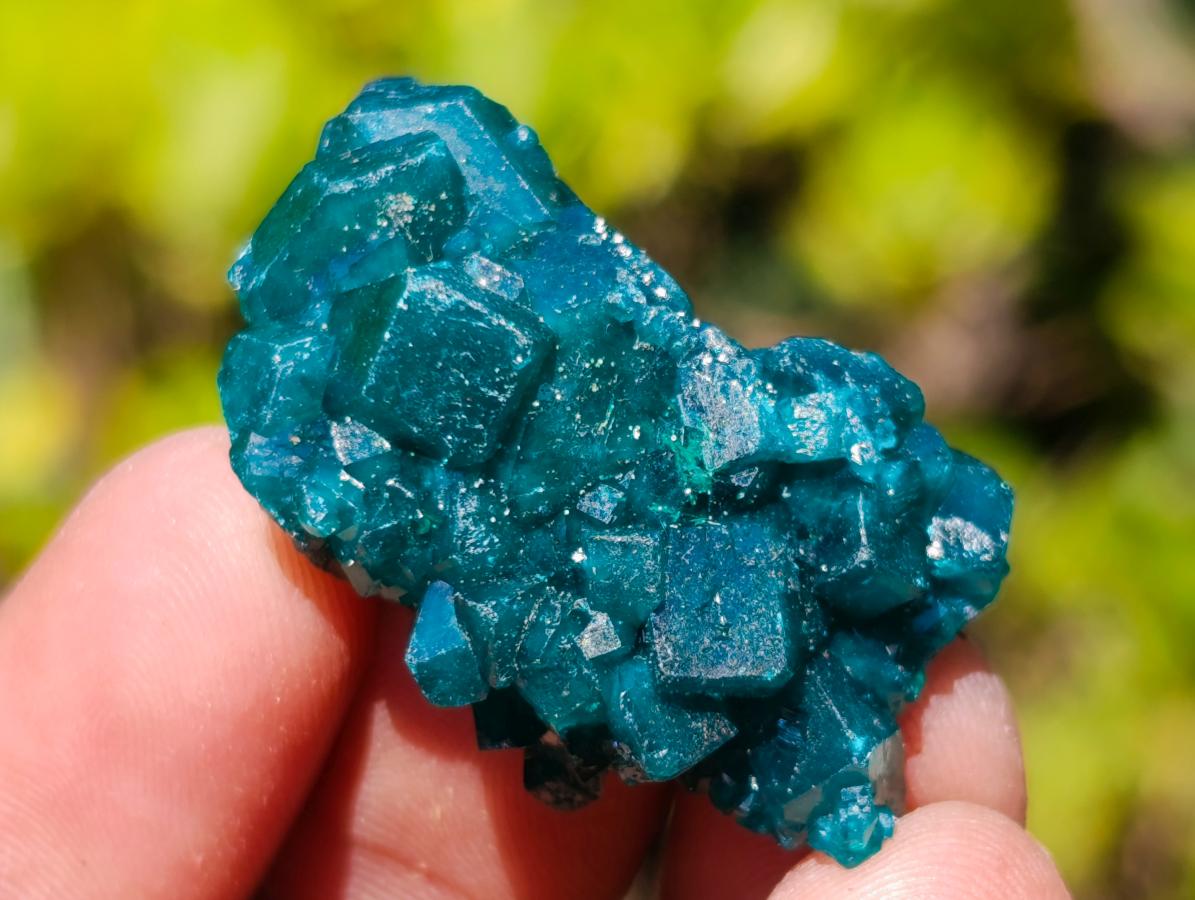 Natural Dioptase Specimens on Dolomite Matrix x 20 From Tantara Mine, Congo - Toprock Gemstones and Minerals 