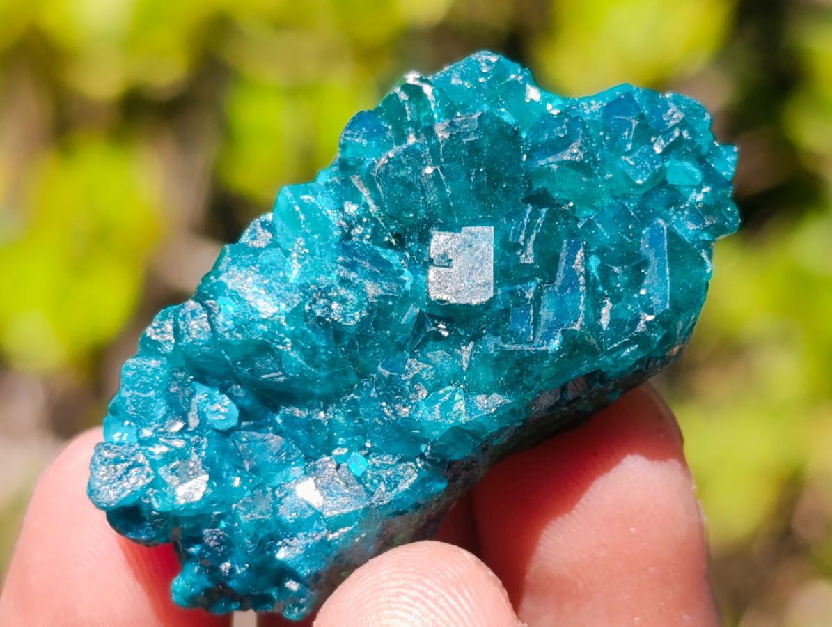 Natural Dioptase Specimens on Dolomite Matrix x 20 From Tantara Mine, Congo - Toprock Gemstones and Minerals 