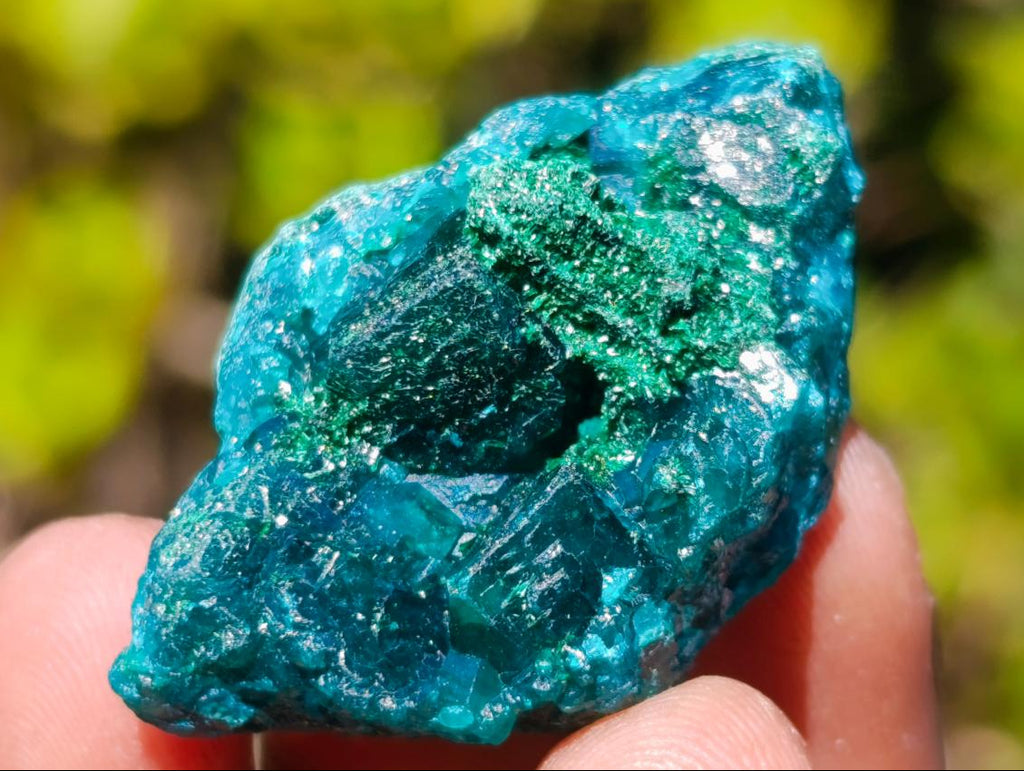 Natural Dioptase Specimens on Dolomite Matrix x 20 From Tantara Mine, Congo - Toprock Gemstones and Minerals 
