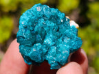 Natural Dioptase Specimens on Dolomite Matrix x 20 From Tantara Mine, Congo - Toprock Gemstones and Minerals 
