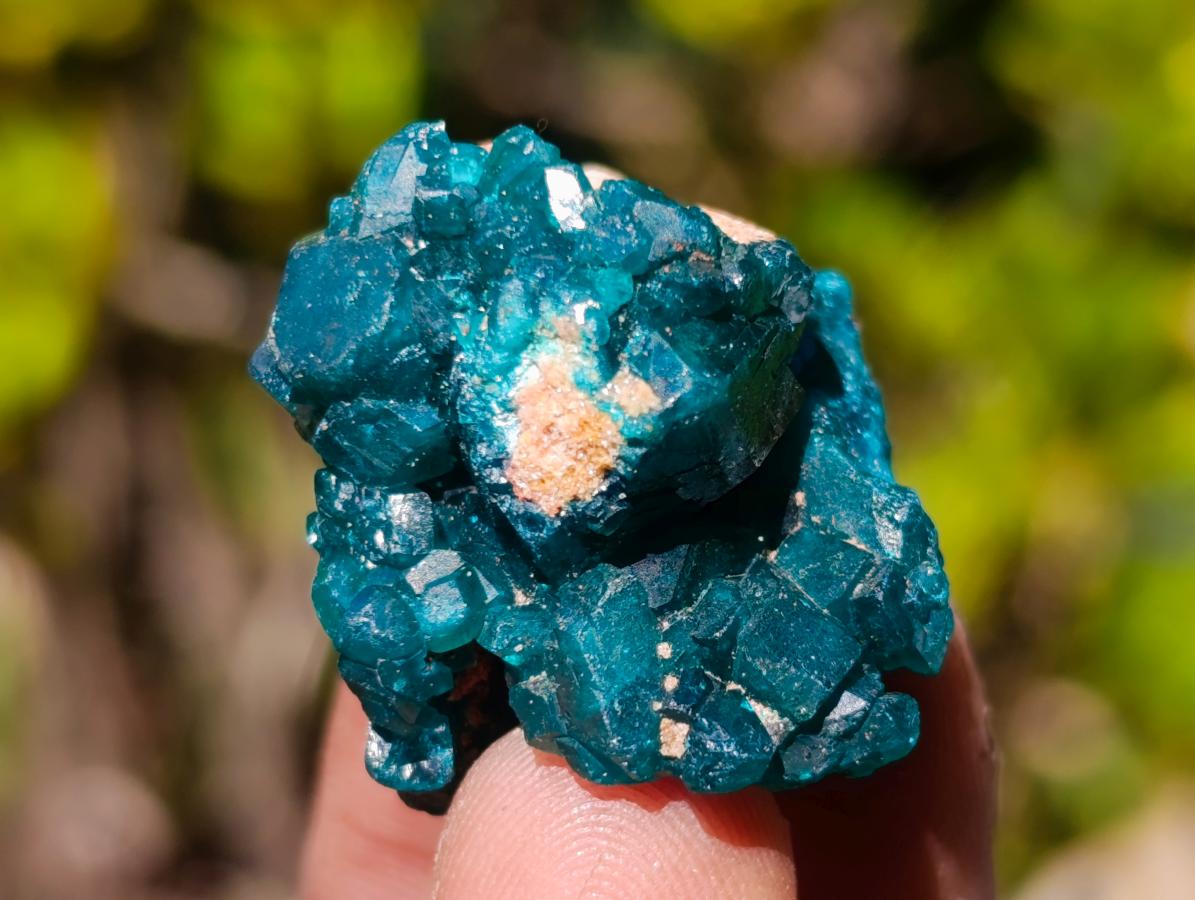 Natural Dioptase Specimens on Dolomite Matrix x 20 From Tantara Mine, Congo - Toprock Gemstones and Minerals 