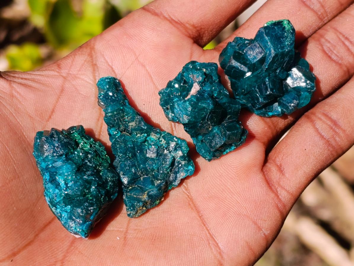 Natural Dioptase Specimens on Dolomite Matrix x 20 From Tantara Mine, Congo - Toprock Gemstones and Minerals 