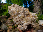 Natural Cubic Fluorite Specimens with Sprays of Acicular Quartz x 5 From Khorixas, Namibia