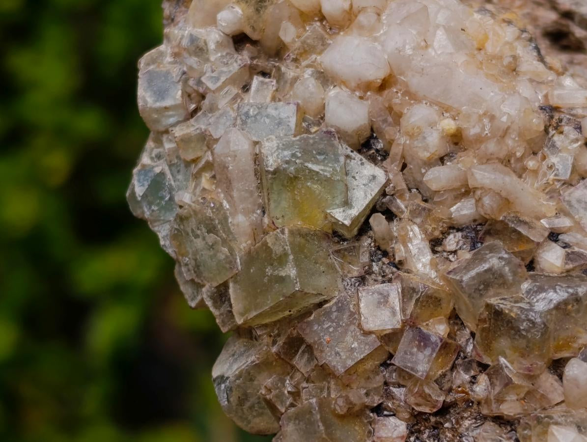 Natural Cubic Fluorite Specimens with Sprays of Acicular Quartz x 5 From Khorixas, Namibia