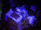 Natural Cubic Fluorite Specimens with Sprays of Acicular Quartz x 5 From Khorixas, Namibia