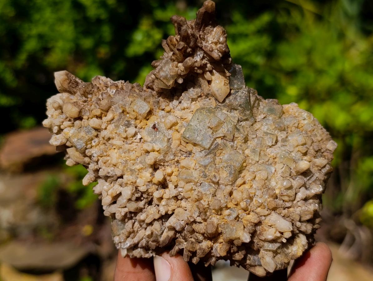 Natural Cubic Fluorite Specimens with Sprays of Acicular Quartz x 5 From Khorixas, Namibia