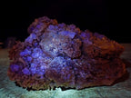 Natural Cubic Fluorite Specimens with Sprays of Acicular Quartz x 5 From Khorixas, Namibia