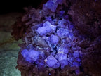 Natural Cubic Fluorite Specimens with Sprays of Acicular Quartz x 5 From Khorixas, Namibia