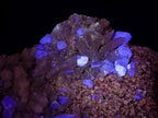 Natural Cubic Fluorite Specimens with Sprays of Acicular Quartz x 5 From Khorixas, Namibia