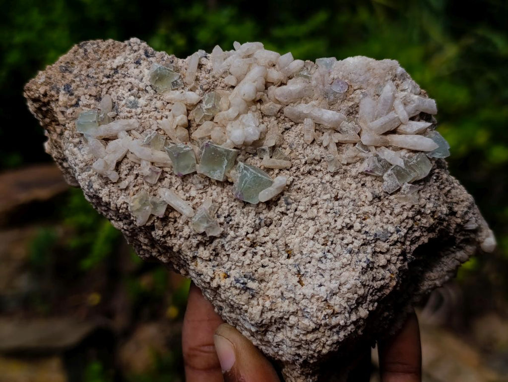 Natural Cubic Fluorite Specimens with Sprays of Acicular Quartz x 5 From Khorixas, Namibia